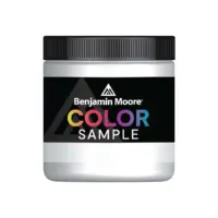 דוגמית צבע Benjamin Moore