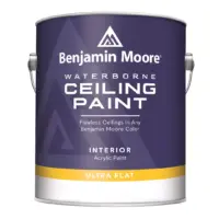 Waterborne Ceiling Paint צבע לתקרות פנים