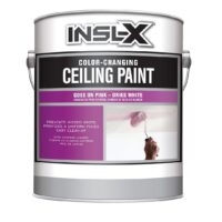 Color-Changing Ceiling Paint צבע תקרה מחליף צבע של בנג'מין מור- גלון